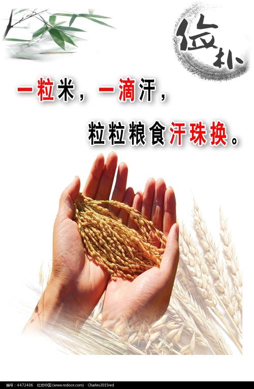 房产证丢了不动产